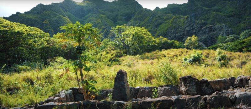 Oahu: Kualoa Open Air Jungle Expedition Tour - Customer Feedback