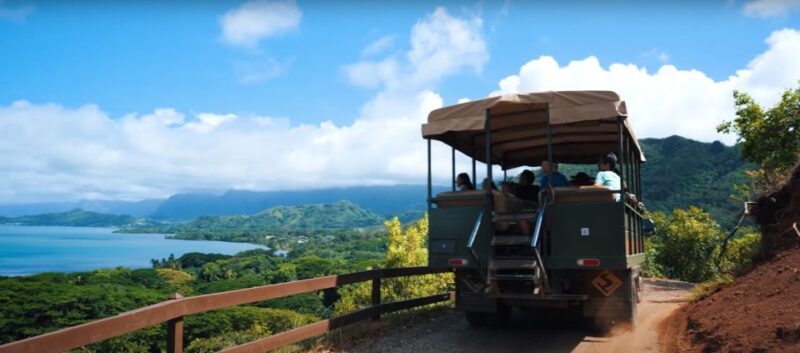 Oahu: Kualoa Open Air Jungle Expedition Tour - Important Logistics
