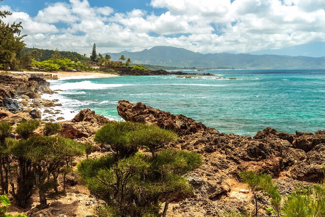 Oahu: Legendary North Shore Loop Driving Tour - Positive User Feedback and Support
