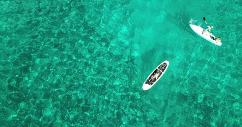 Oahu: Luxury 50 Catamaran Cruise With Snorkeling and Sunset - Key Points