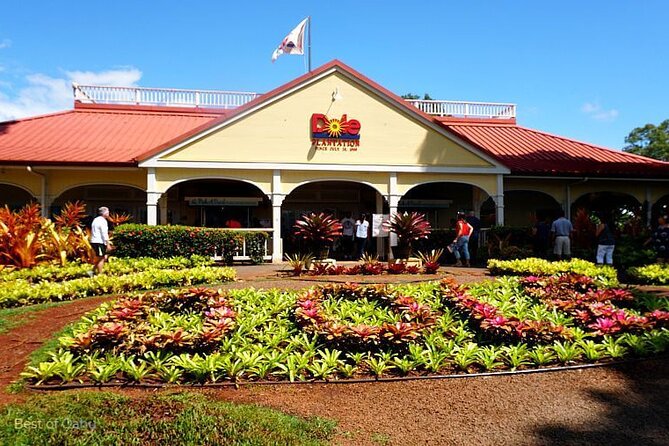 Oahu Luxury Circle Island Tour ,Diamon Head ,Northshore,.. - Tour Experience and Highlights