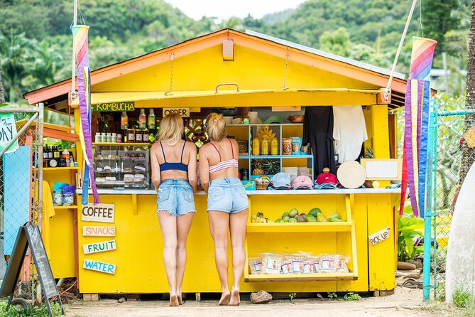 Oahu Luxury Circle Island Tour ,Diamon Head ,Northshore,.. - Customer Reviews and Feedback