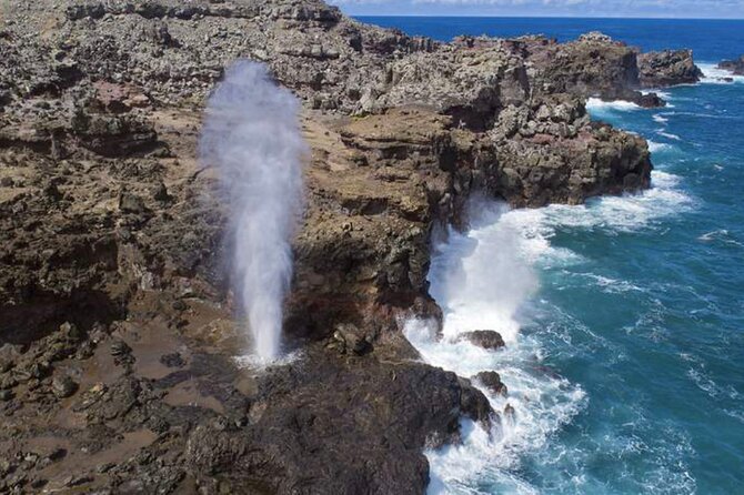 Oahu Luxury Circle Island Tour ,Diamon Head ,Northshore,.. - Guided Tour Experiences