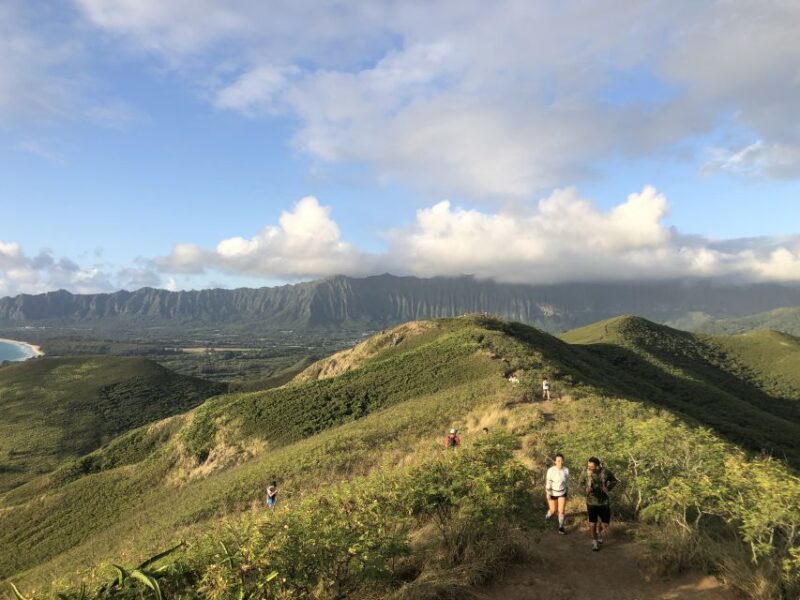 Oahu: Manoa Falls Hike and East Side Beach Day - Itinerary Highlights