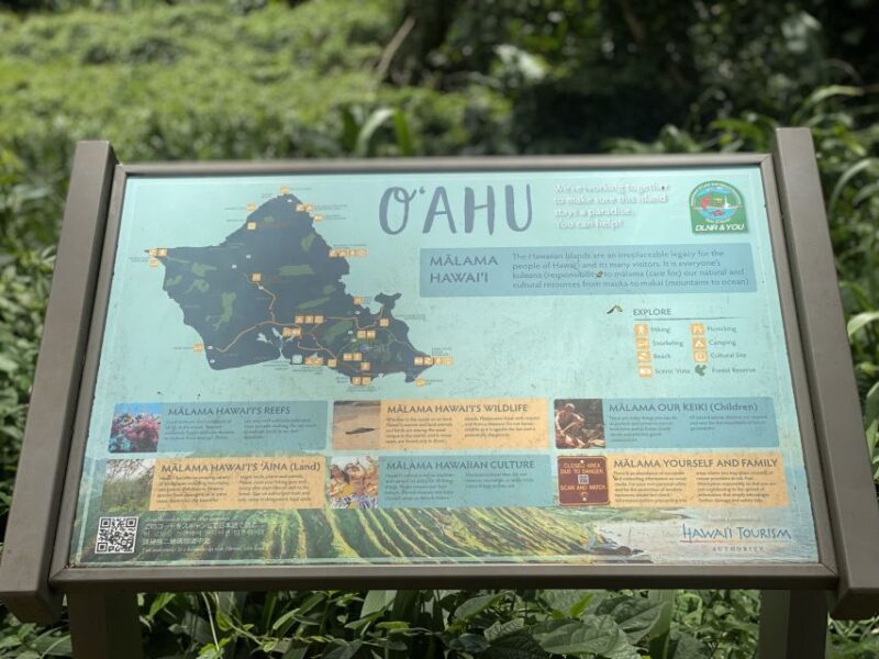 Oahu: Mānoa Falls Trail Hiking Shuttle - Itinerary Highlights
