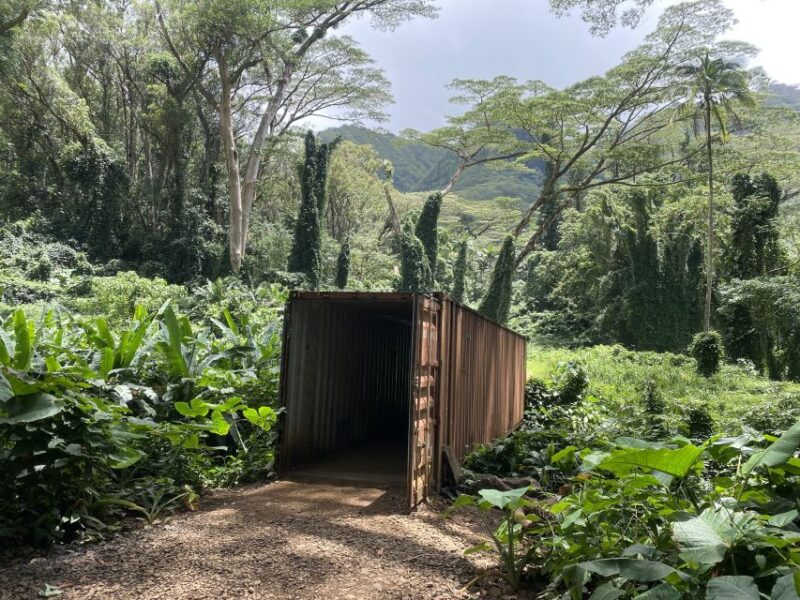 Oahu: Mānoa Falls Trail Hiking Shuttle - Frequently Asked Questions