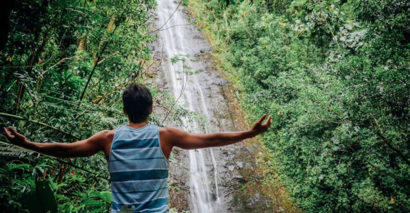 Oahu: Manoa Falls Waterfall Hike With Lunch and Transfers - Itinerary and Highlights
