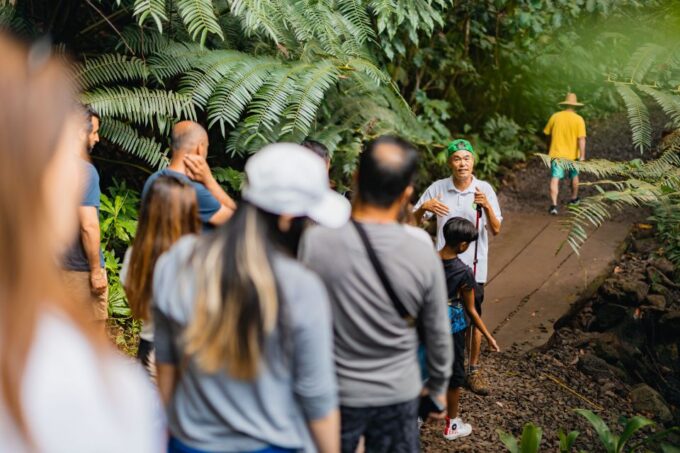 Oahu: Manoa Falls Waterfall Hike With Lunch and Transfers - Trail Conditions and Facilities
