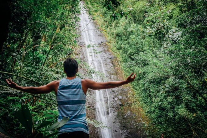 Oahu: Manoa Falls Waterfall Hike With Lunch and Transfers - Pickup and Transfers