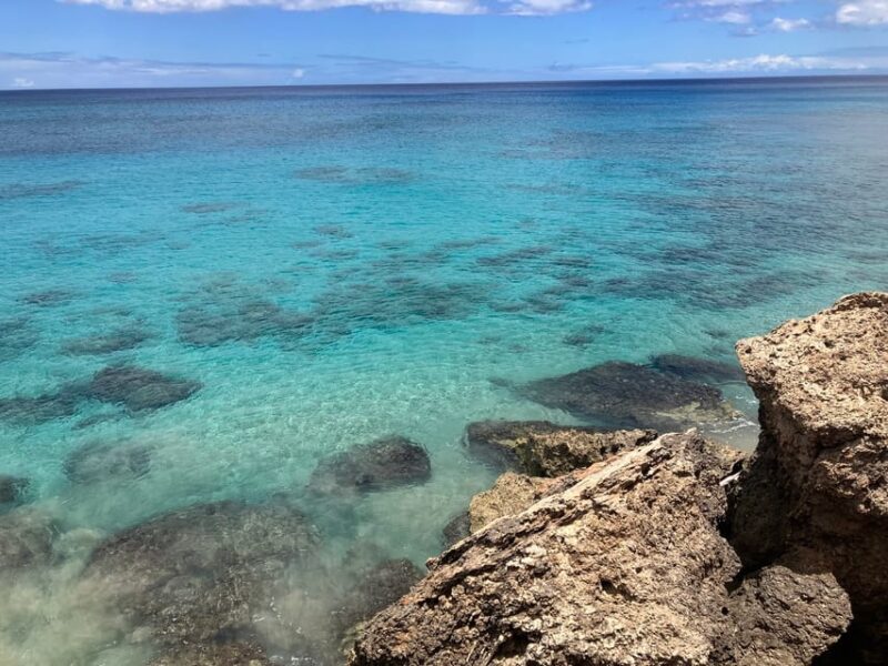 Oahu: Marine Ecology Snorkel Tour - Learning Highlights