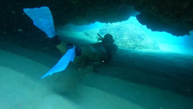 Oahu: Marine Ecology Snorkel Tour - Role of Reef Fish in Ecosystem