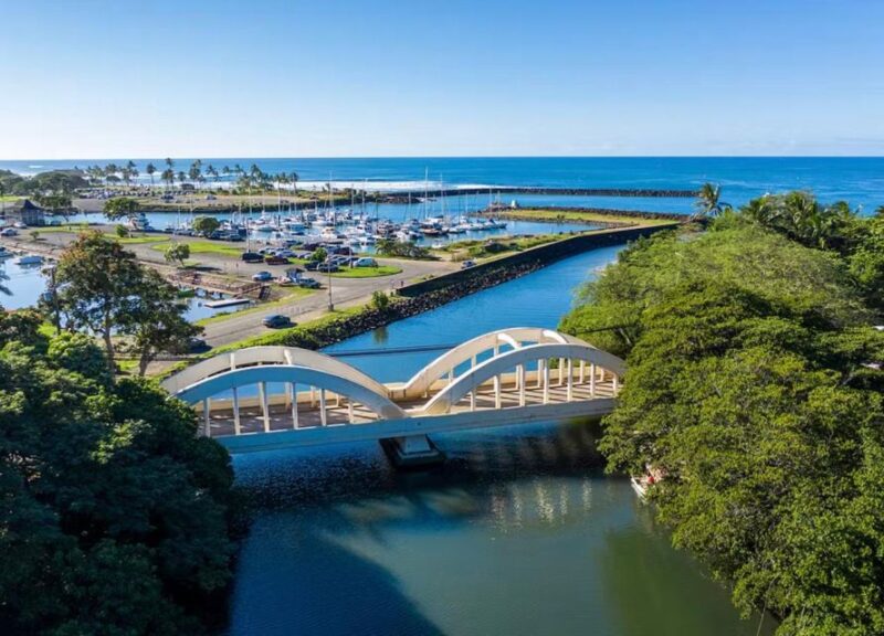 Oahu: North Shore Dole Pineapple Farm Tour - Participant Information