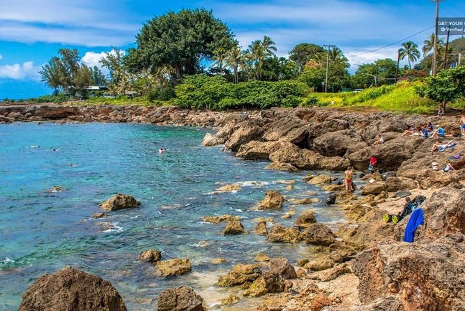 Oahu: North Shore & Dole Plantation Island Discover Tour - Scenic Viewpoints