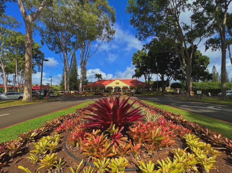 Oahu: North Shore Experience and Dole Plantation - Itinerary Highlights