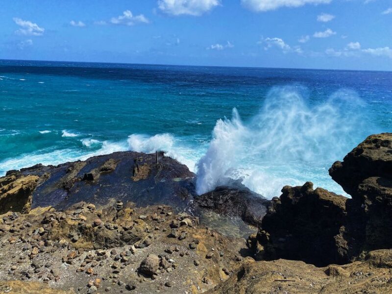 Oahu: North Shore Experience and Dole Plantation - Cancellation Policy