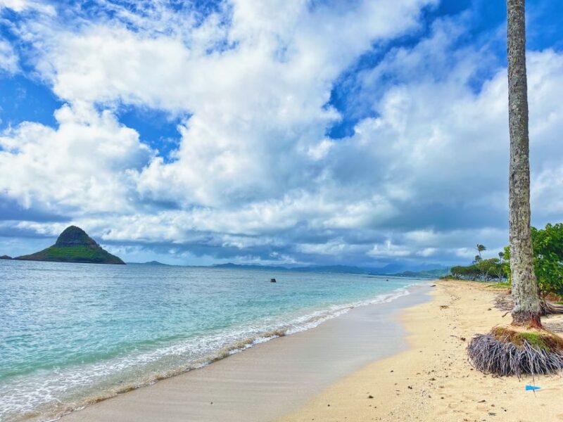 Oahu: North Shore Experience and Dole Plantation - What to Bring