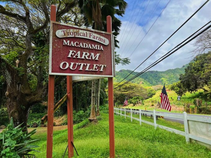 Oahu: North Shore Experience and Dole Plantation - Weather Advisory