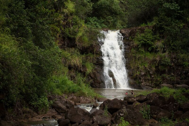 Oahu: North Shore Waterfall Swim - Inclusions