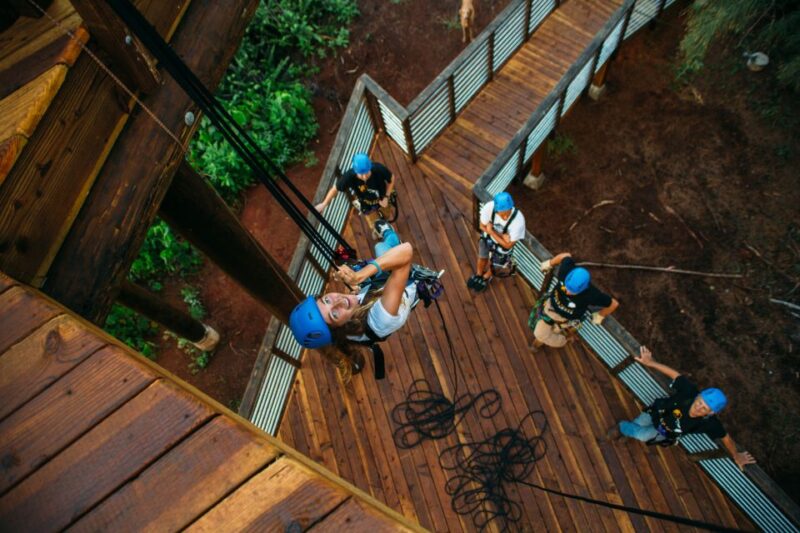 Oahu: North Shore Zip Line Adventure With Farm Tour - 2 Rappels and 1 Floating Staircase