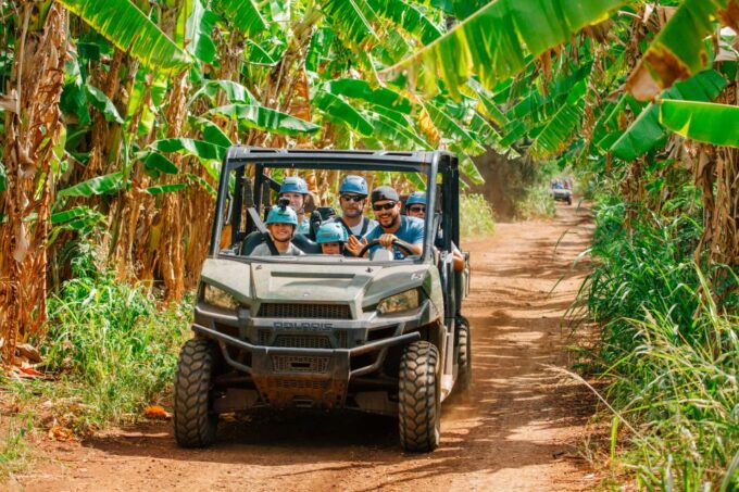 Oahu: North Shore Zip Line Adventure With Farm Tour - Meeting Point and What to Bring