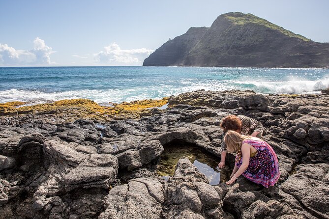 Oahu Personalized Private Tour - Additional Information