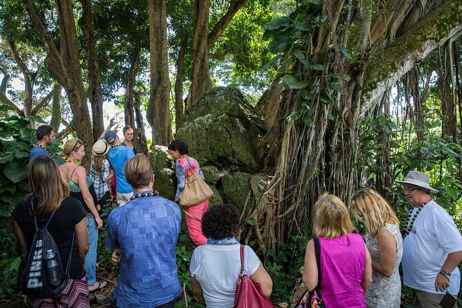 Oahu Personalized Private Tour - About the Tour