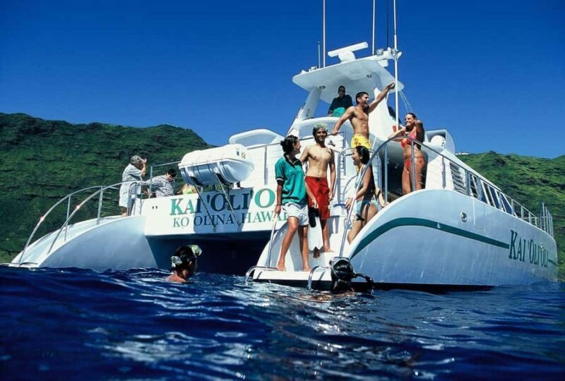 Oahu: Premium Snorkeling Cruise, Whale & Dolphin Watching - Authentic Experiences and Practical Tips