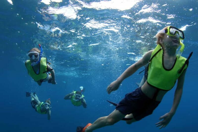 Oahu: Premium Snorkeling Cruise, Whale & Dolphin Watching - Who Should Consider This Tour?
