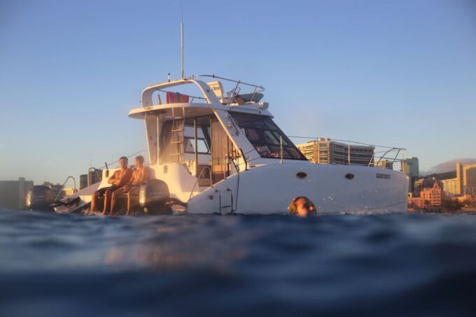 Oahu: Private Catamaran Sunset Cruise & Optional Snorkeling - Wildlife Sightings