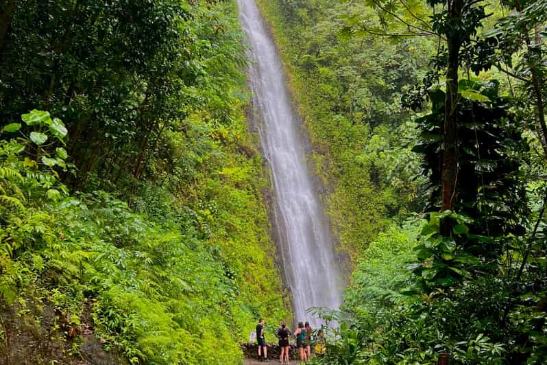 Oahu: Private Circle Island Tour Featuring Manoa Falls Hike - Manoa Falls Hike