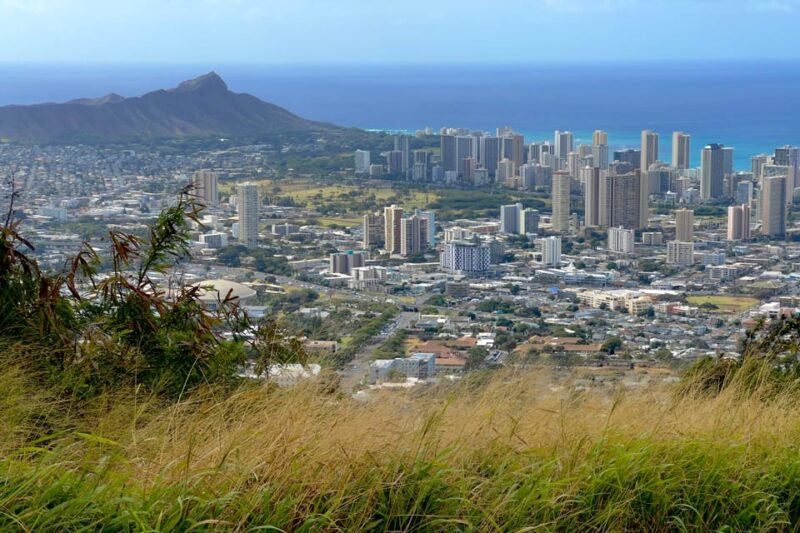 Oahu: Private Circle Island Tour Featuring Manoa Falls Hike - Scenic Stops