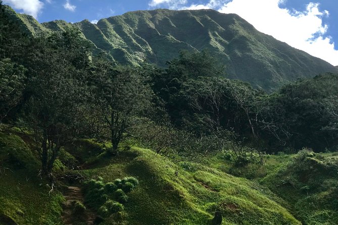 Oahu Private First, Last and Transfer Day Tours With Luggage - Accessibility and Participation