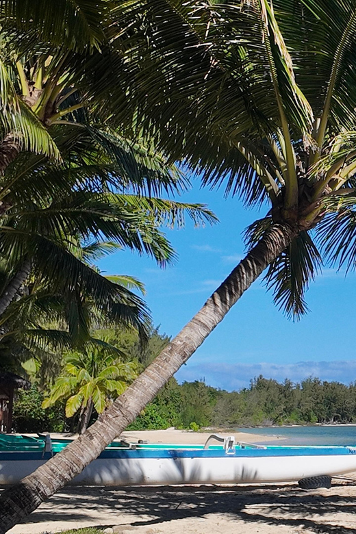 Oahu: Private Full Circle Island Tour - Customizable - Activities and Inclusions
