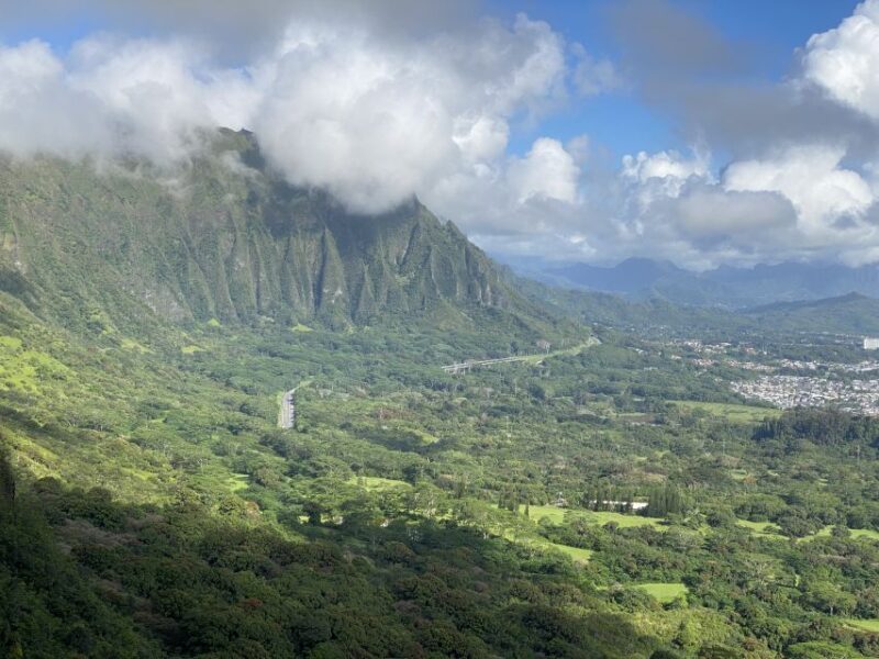 Oahu: Private Full-Day Foodie & Sightseeing Tour - Experience Highlights