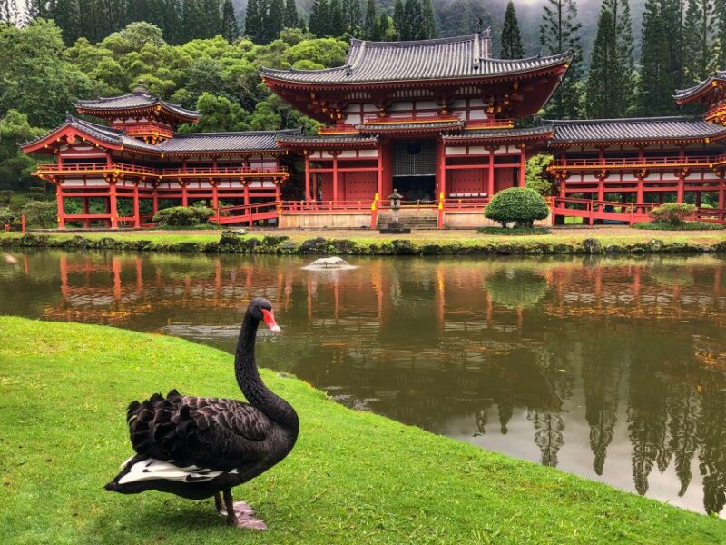 Oahu: Private Full-Day Foodie & Sightseeing Tour - Inclusions
