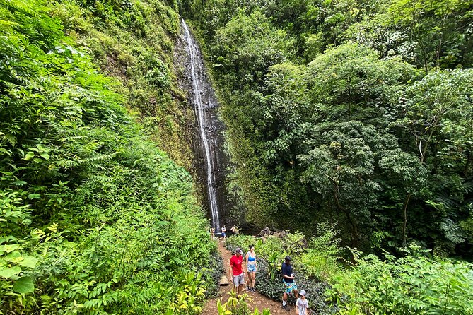 Oahu Private Hiking Tour - Meeting and Pickup