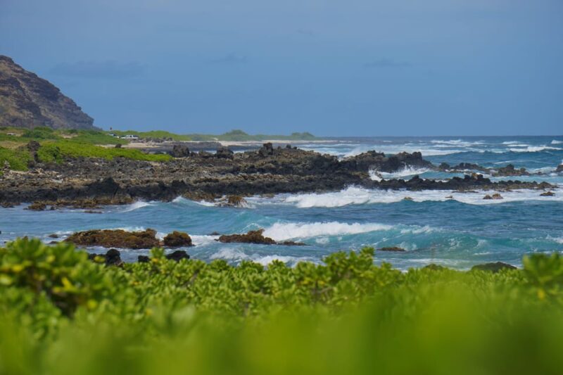 Oahu: Private Tour - Customizable - Circle Island, Waimea - Key Points