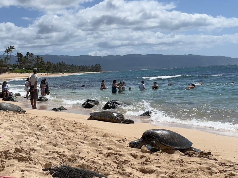 Oahu: Private Tour - Customizable - Circle Island, Waimea - Booking Information