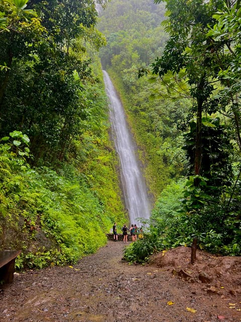 Oahu: Private Tour - Customizable - Circle Island, Waimea - Local Culinary Delights