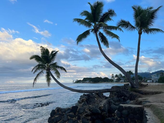 Oahu: Private Tour - Customizable - Circle Island, Waimea - Tour Highlights