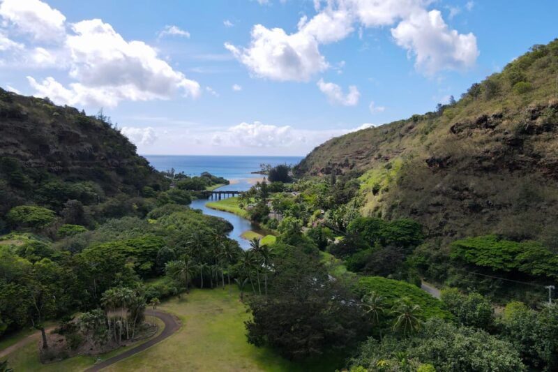 Oahu: Private Tour North Shore W/ Waimea Valley & Waterfall - Pricing and Inclusions