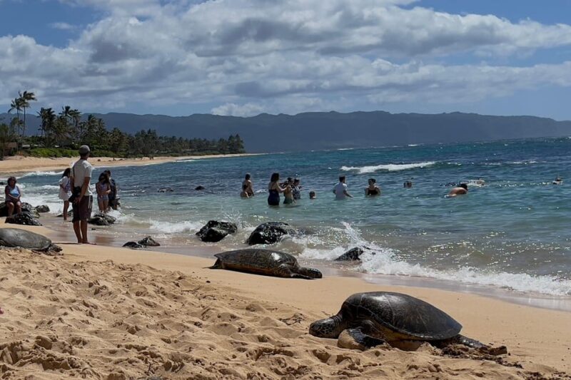 Oahu: Private Tour North Shore W/ Waimea Valley & Waterfall - Pickup and Drop-off Locations