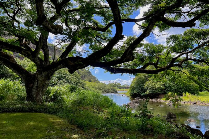 Oahu: Private Tour North Shore W/ Waimea Valley & Waterfall - Optional Tour Stops