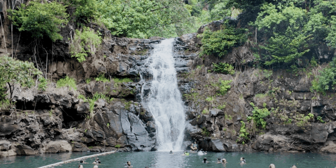 Oahu: Private Tour North Shore W/ Waimea Valley & Waterfall - Lunch and Refreshments
