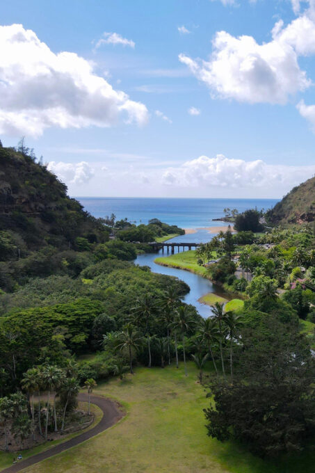 Oahu: Private Tour North Shore W/ Waimea Valley & Waterfall - Customer Testimonials