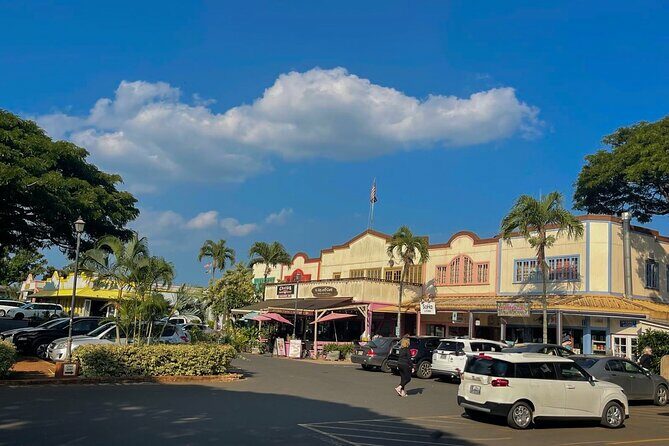 Oahu Private Tour North Shore, Waimea Falls and Dole Plantation - A Closer Look at the Itinerary