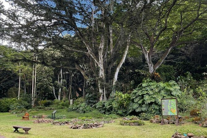 Oahu Private Tour North Shore, Waimea Falls and Dole Plantation - FAQ