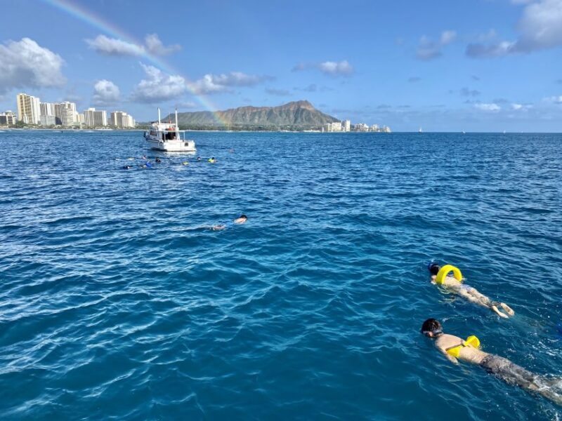 Oahu: Private Turtle Snorkeling With Customizable Itinerary - Tour Features and Amenities