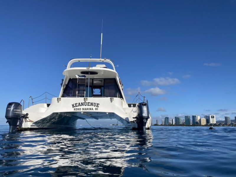 Oahu: Private Turtle Snorkeling With Customizable Itinerary - Wildlife and Scenic Highlights