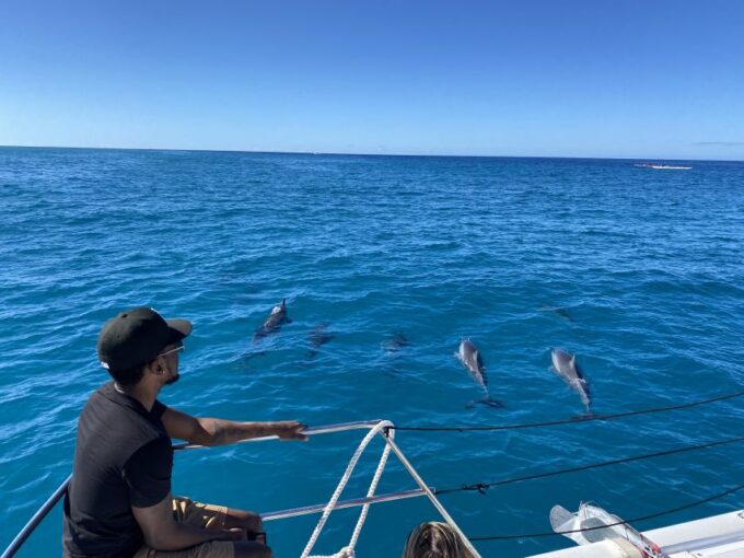 Oahu: Private Turtle Snorkeling With Customizable Itinerary - Frequently Asked Questions